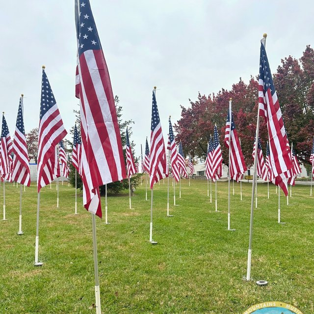 172340ae-bf82-44ff-afaf-f7fa67fb5af8