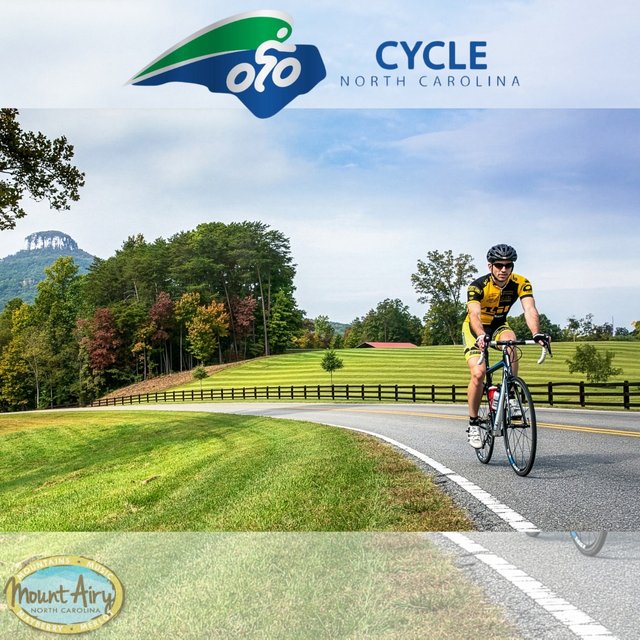 75a15dc1-ffd3-4875-9350-90a4f710767d