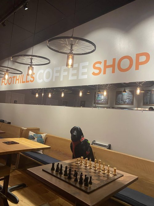 FoothillsCoffeeShop.jpg