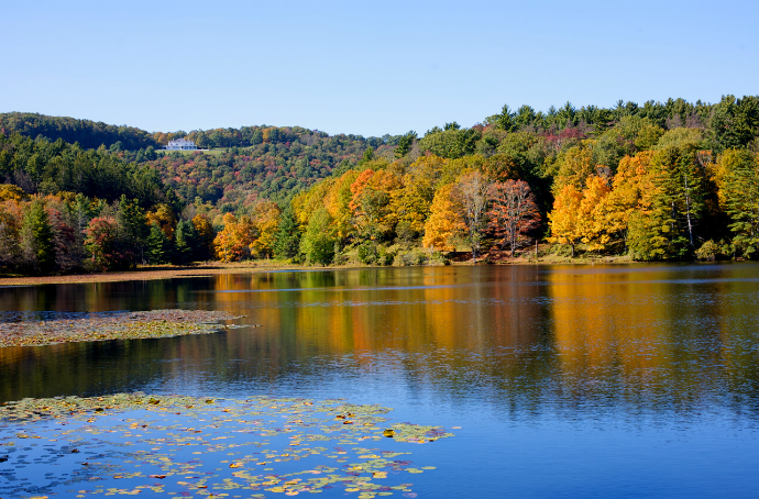 Moses-H.-Cone-Memorial-Park.webp