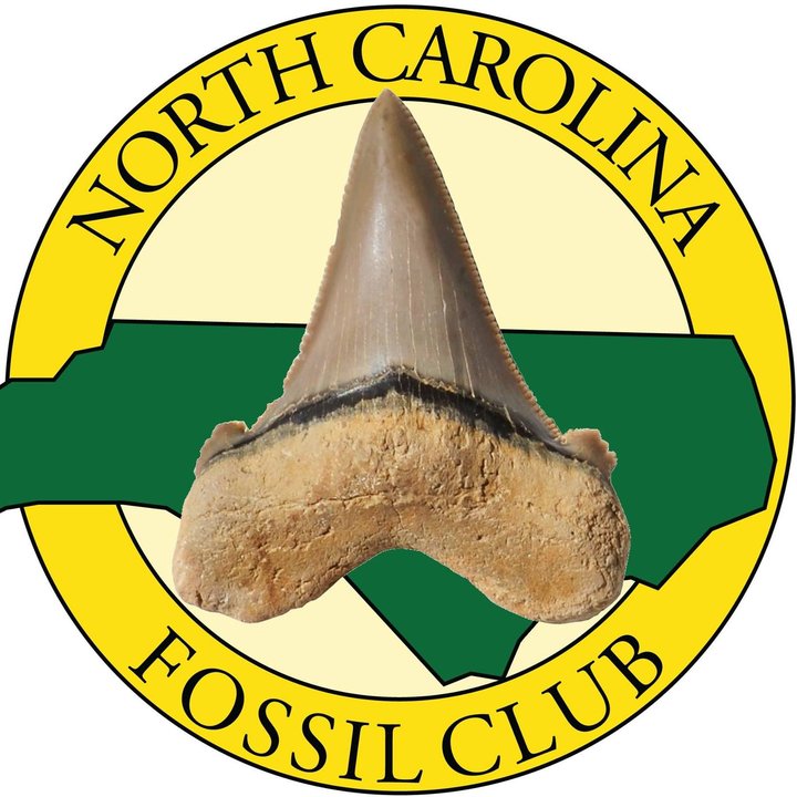NorthCarolinaFossilClub.jpg