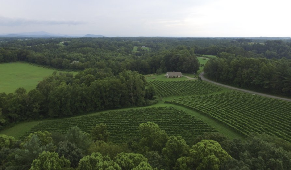 Golden Road Vineyards drone shot