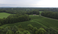 Golden Road Vineyards drone shot