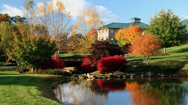 Shelton Vineyard