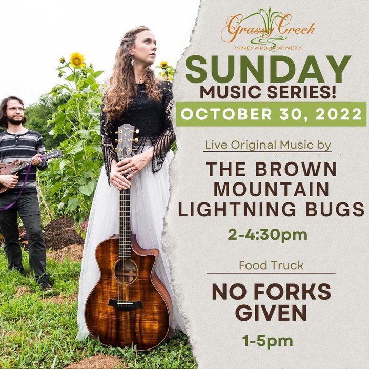 Sunday Music Series- The Brown Mountain Lightning Bugs .jpeg