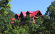 Blue Ridge Mtn View Cabin Nestled in Trees