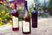 Grassy Creek Vineyard Wines