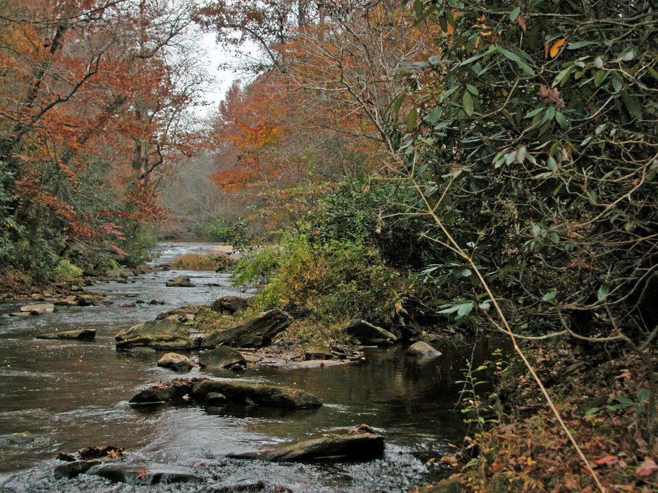 Big Elkin Creek