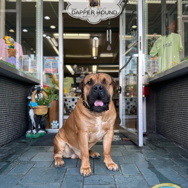 c4e20e0f-4f10-4d9c-b9a9-18f2d3c6bc17