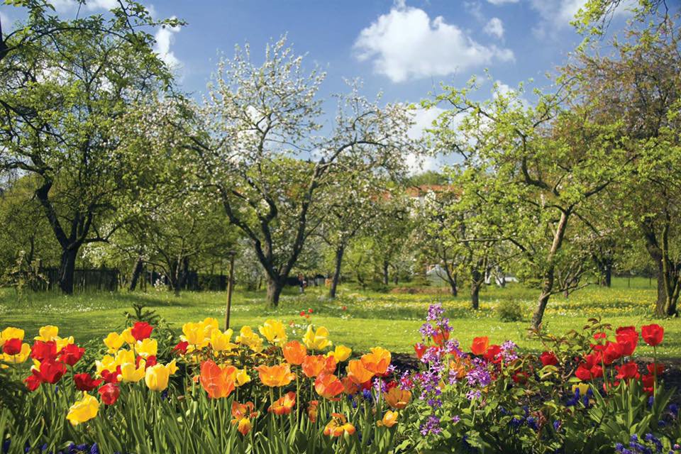 cabeland farm.jpg