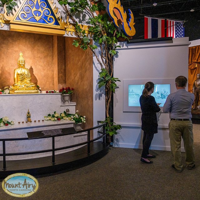 cbb4d5a6-1d0a-44a8-8b8f-372de3a48694