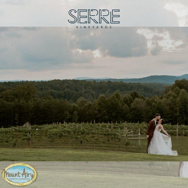 da1e161d-6e67-4ce5-964e-6a3c65262d97