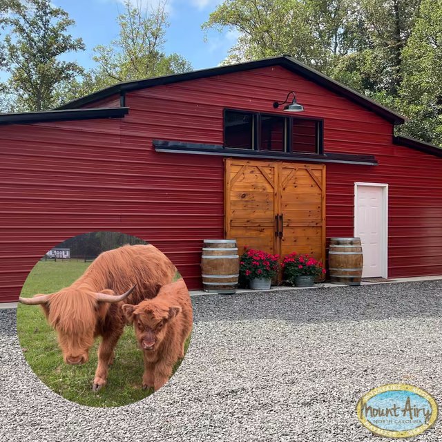 eb22190b-bbe0-4018-9e5b-4b2b4c9a8bd5