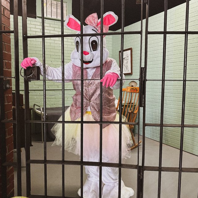 f0f3bdaa-0879-46fc-92f9-dbb6b20d1af9