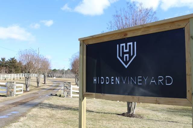 hidden vineyard.jpg