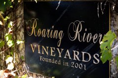 nc wine introduction and pairing party.jpg