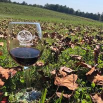 stony knoll vineyards.jpg