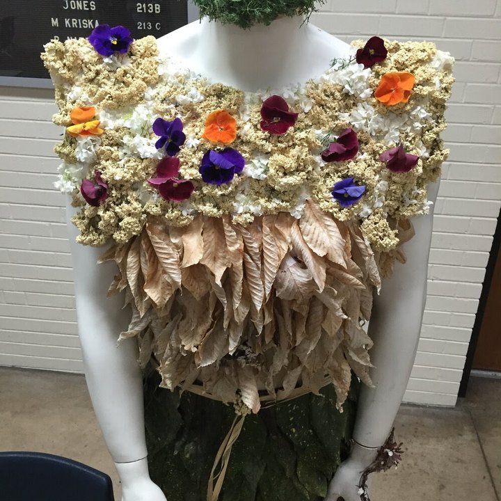 Fashion from Nature