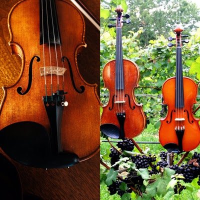 Violins