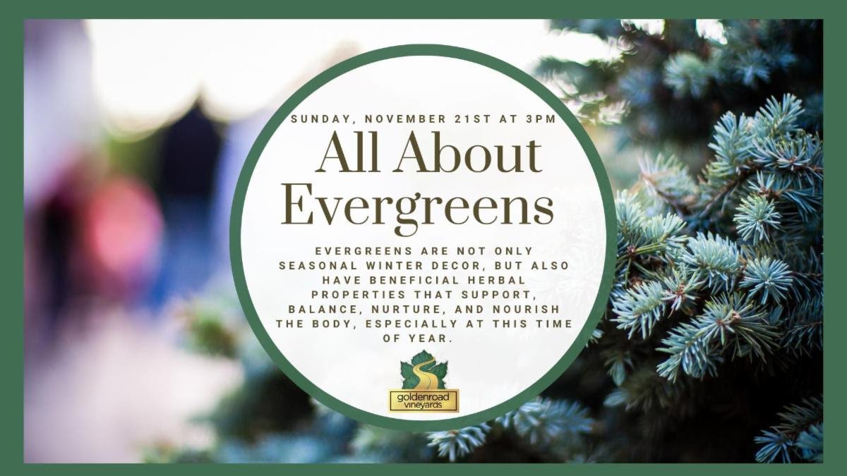evergreens