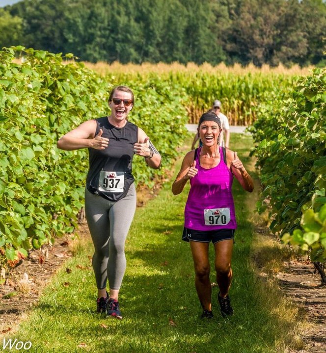 Vineyard Stomp