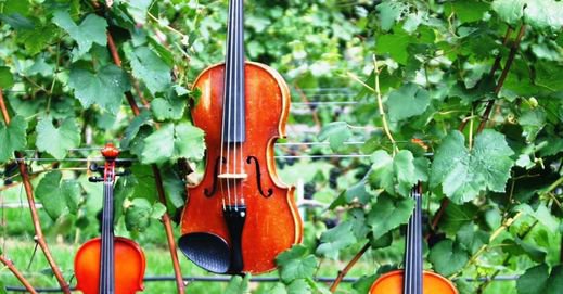 violin duets